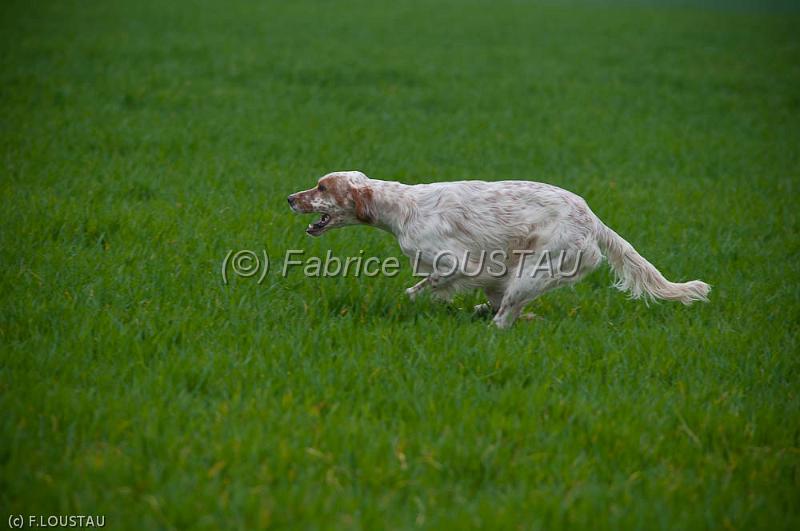 20120405-FLS_4113.jpg - Farouk du clos de la Baudeliere
