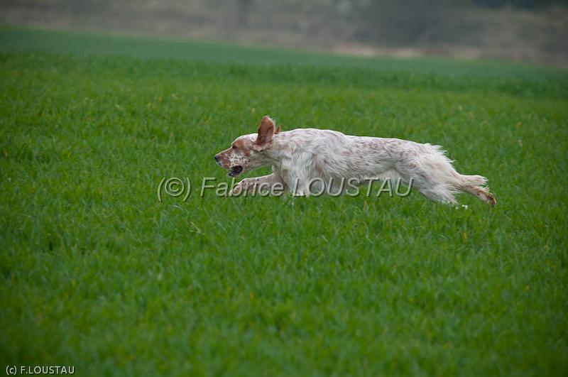 20120405-FLS_4120.jpg - Farouk du clos de la Baudeliere