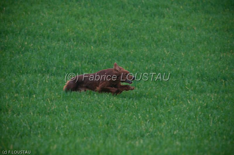 20120405-FLS_4138.jpg - Flayer du pied du mont