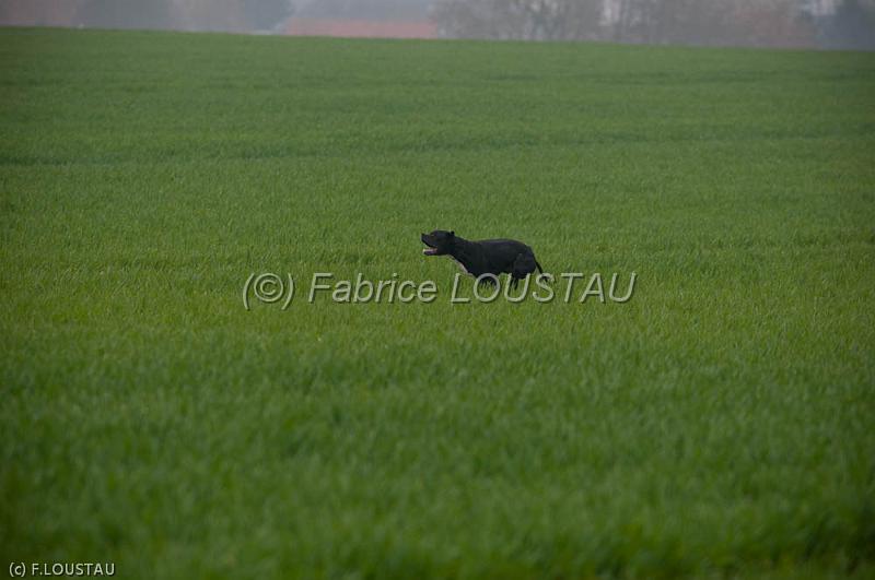 20120405-FLS_4194.jpg - Elium du Cap Valentin
