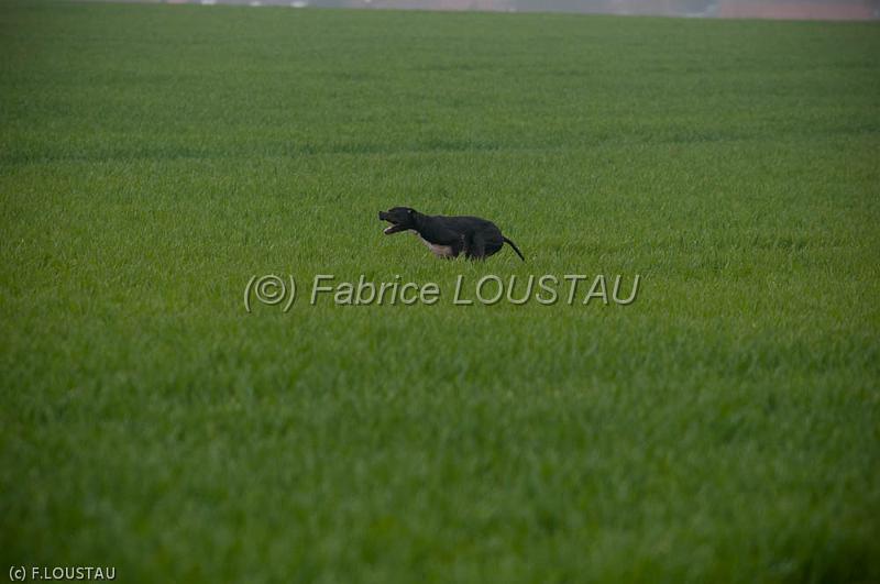 20120405-FLS_4197.jpg - Elium du Cap Valentin