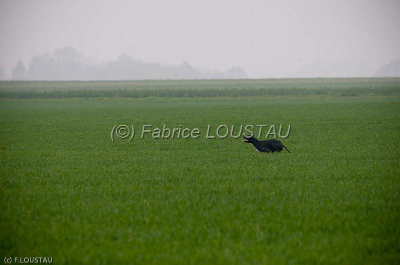 20120405-FLS_4203.jpg - Elium du Cap Valentin
