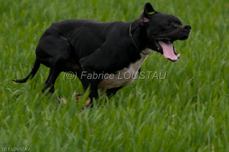 20120405-FLS_4213.jpg - Elium du Cap Valentin