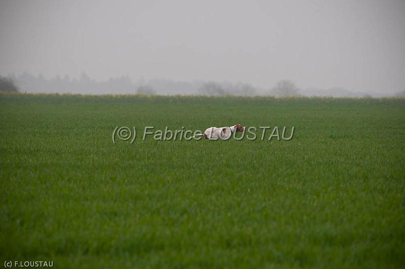 20120405-FLS_4221.jpg - Fado des Sources de L'ourbise