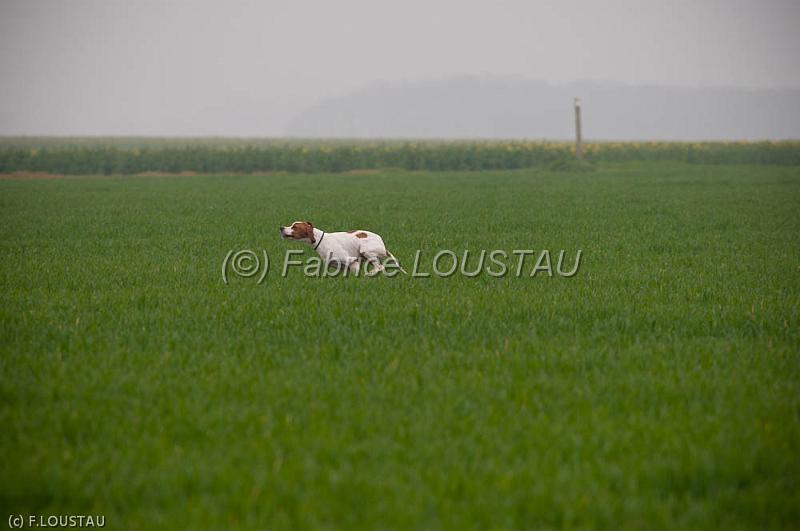 20120405-FLS_4231.jpg - Fado des Sources de L'ourbise