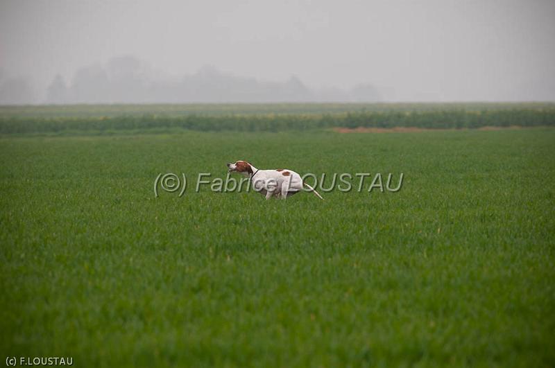 20120405-FLS_4234.jpg - Fado des Sources de L'ourbise