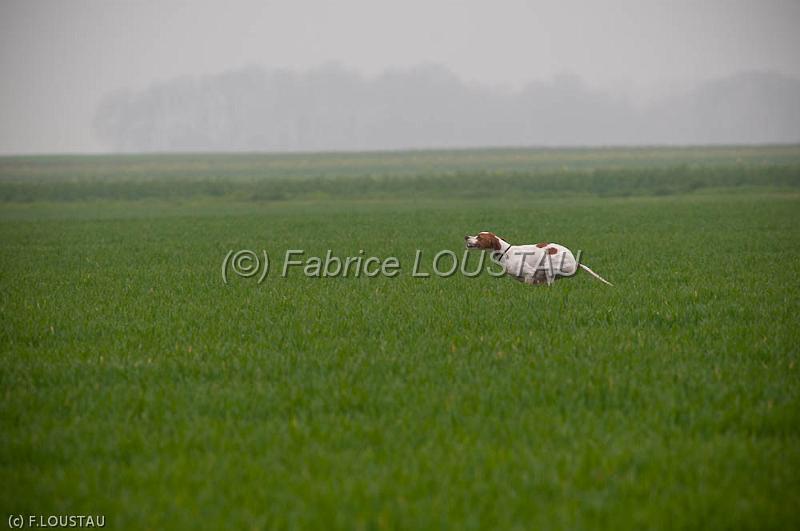 20120405-FLS_4239.jpg - Fado des Sources de L'ourbise
