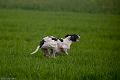 20120405-FLS_3934
