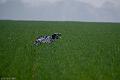 20120405-FLS_3976