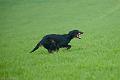 20120405-FLS_4096