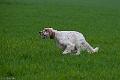 20120405-FLS_4104