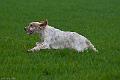 20120405-FLS_4105