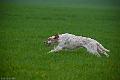 20120405-FLS_4111