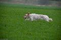 20120405-FLS_4120