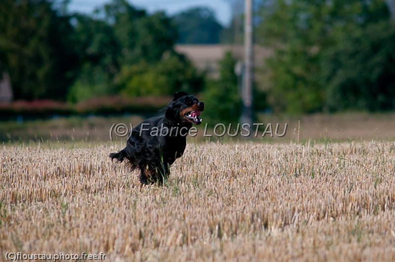 20120729-FLS_5286.jpg - Garfield