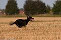 20120729-FLS_5171