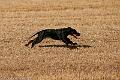 20120729-FLS_5190
