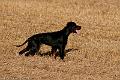 20120729-FLS_5202
