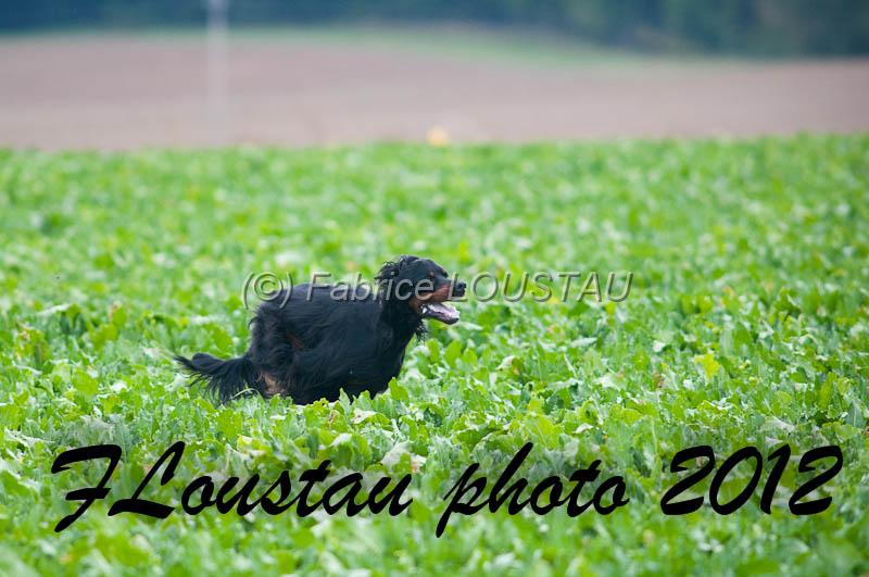 20121005-FLS_6134.jpg - Gandspette