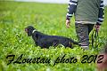 20121005-FLS_5953