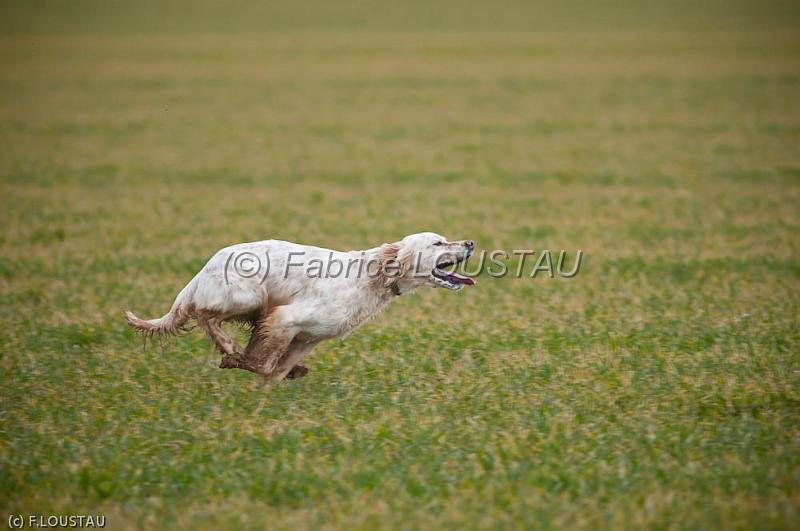 20120225-FLS_1897.jpg