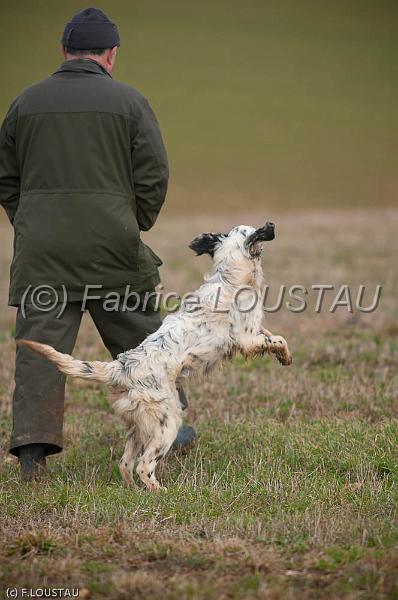 20120225-FLS_1899.jpg