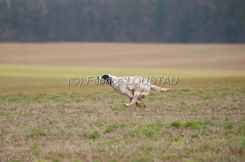 20120225-FLS_1907.jpg