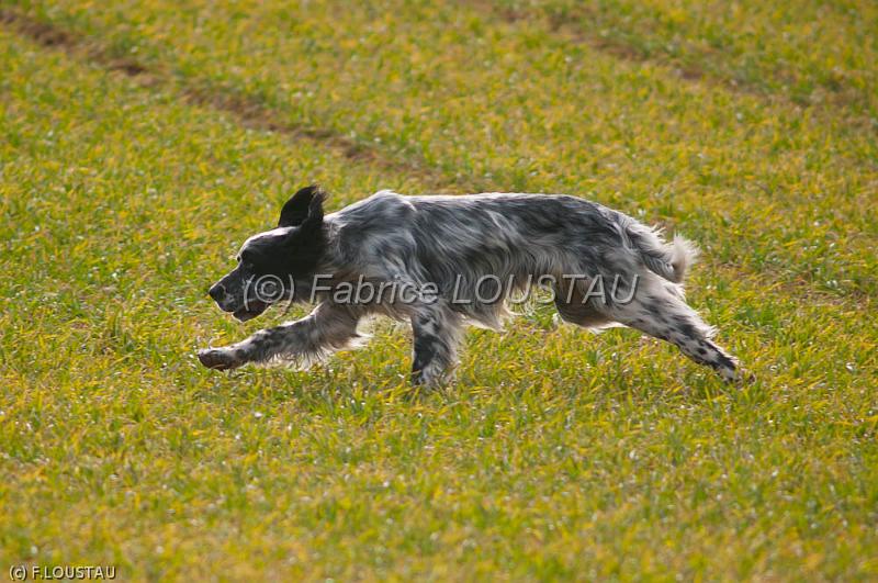 20120225-FLS_1957.jpg