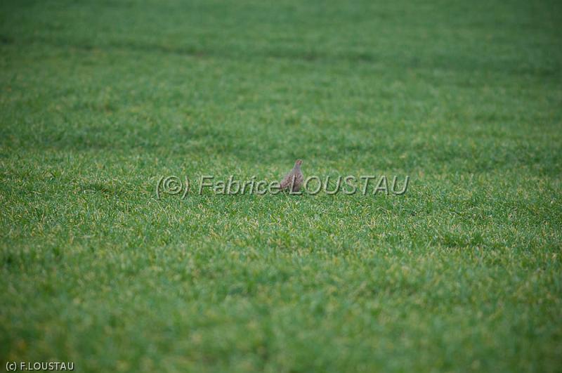 20120311-FLS_2871.jpg
