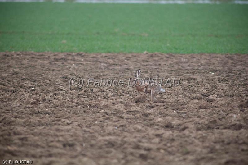 20120311-FLS_2917.jpg