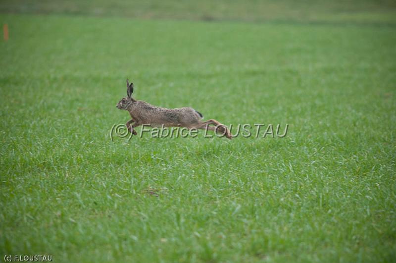 20120311-FLS_2933.jpg