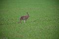 20120311-FLS_2899
