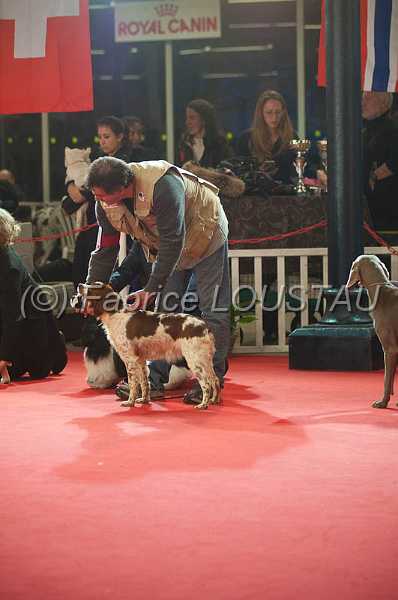 20130112-FLS_6554.jpg - Le ring d'honneur