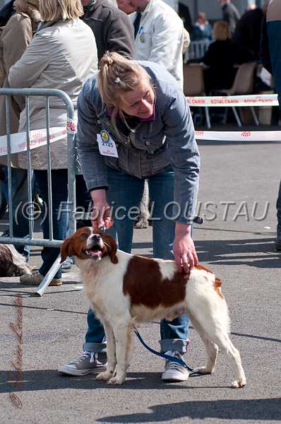 20130428-FLS_2156.jpg