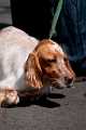 20130428-FLS_2157