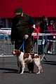 20130428-FLS_2206