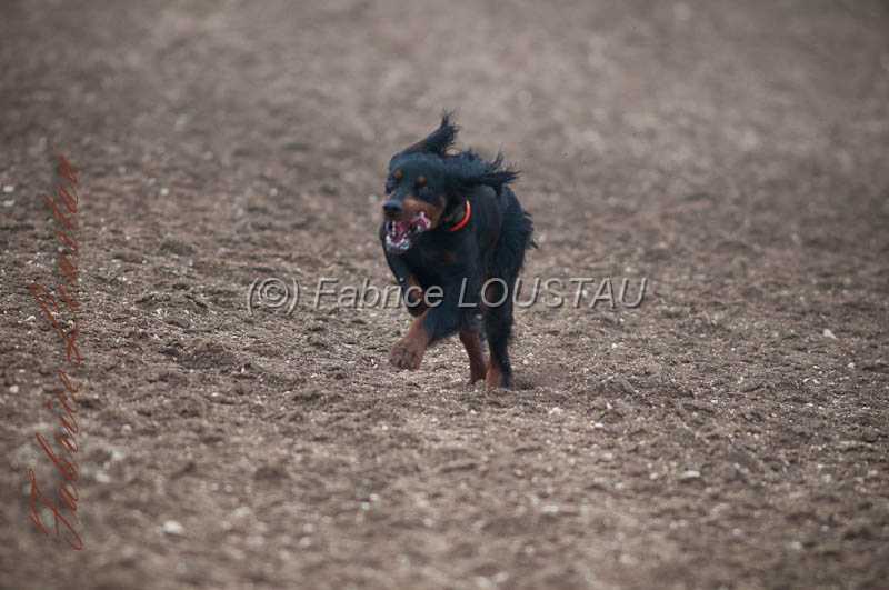 20130307-FLS_7689.jpg