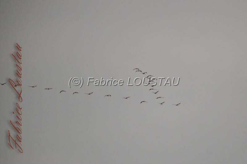20130307-FLS_7770.jpg