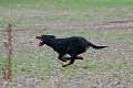 20130316-FLS_8996