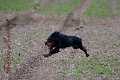 20130316-FLS_8998