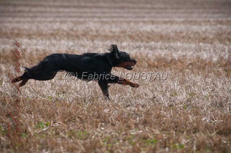 20130322-FLS_9318.jpg
