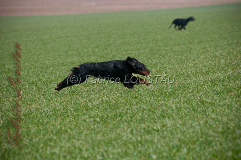 20130322-FLS_9460.jpg