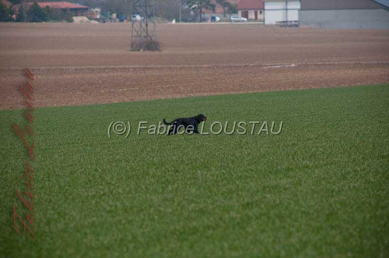 20130322-FLS_9500.jpg