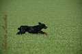 20130322-FLS_9435