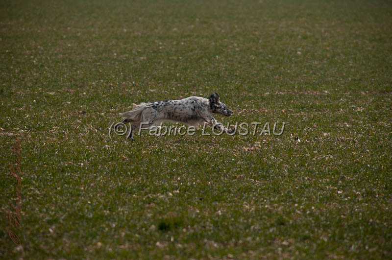 20130331-FLS_0024.jpg - Dodge del zagnis