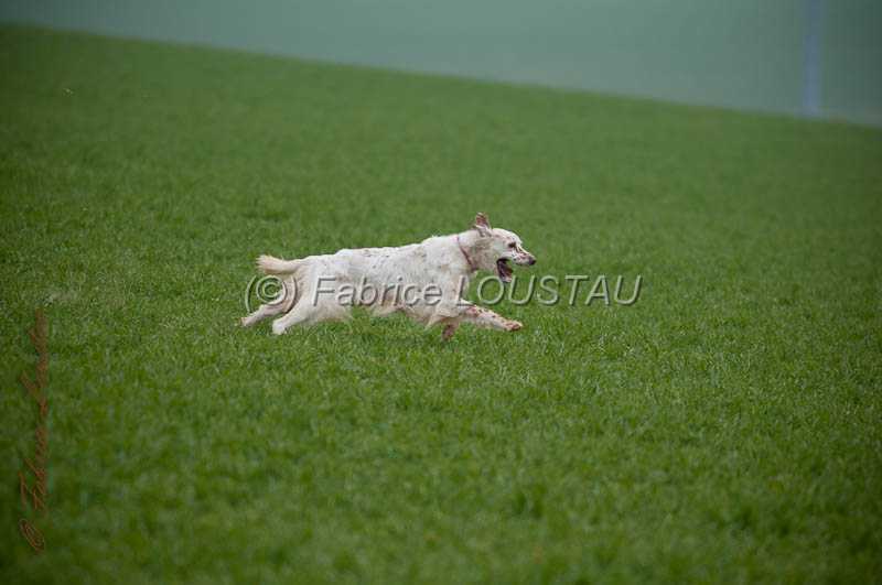 20130405-FLS_0660.jpg - WILY DEL ZAGNIS