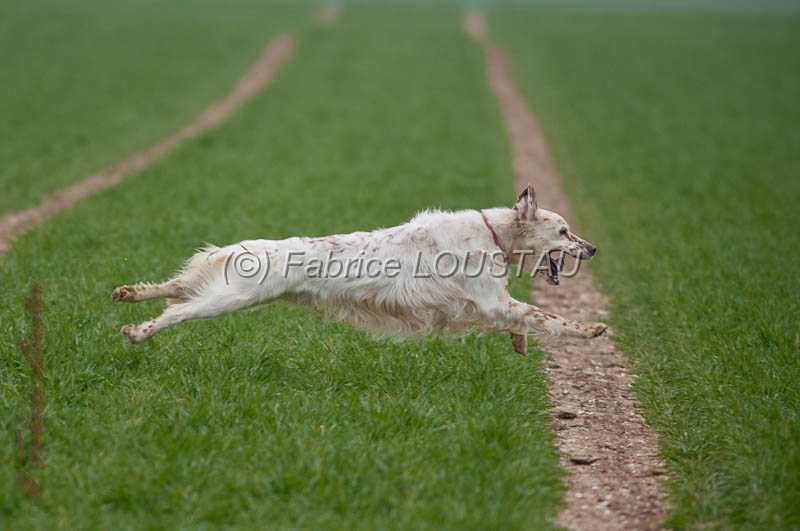 20130405-FLS_0665.jpg - WILY DEL ZAGNIS