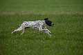 20130405-FLS_0871
