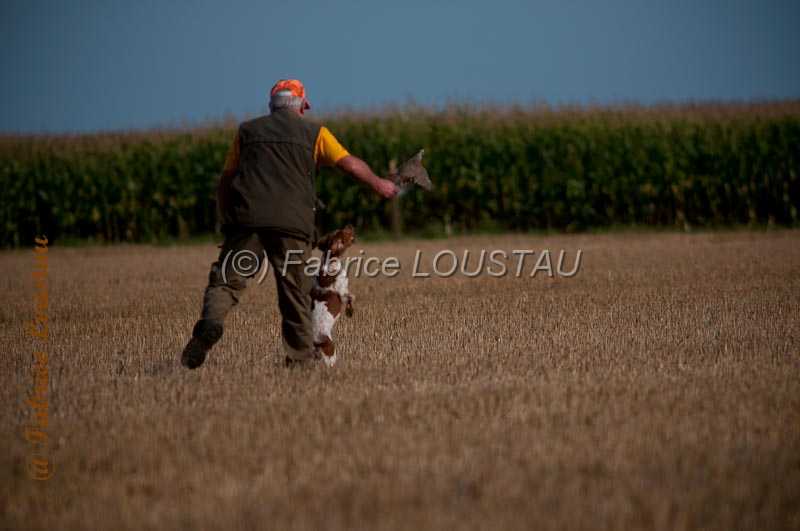 20130901-FLS_5745-2.jpg