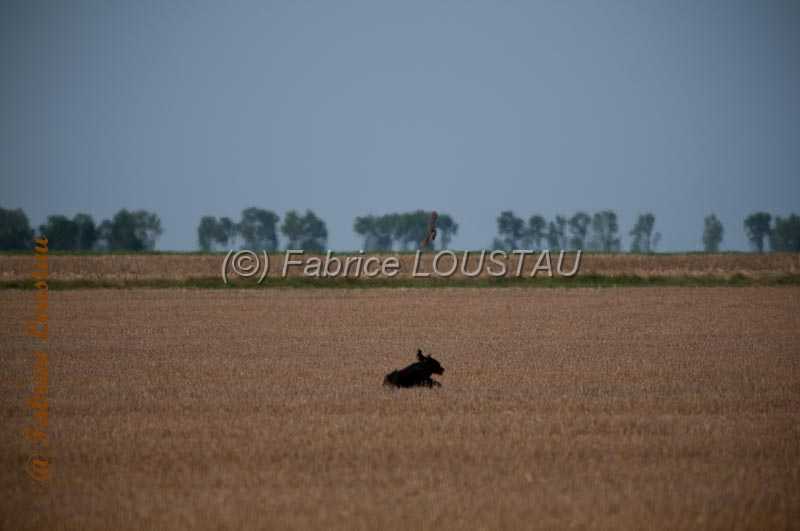 20130901-FLS_5943-2.jpg